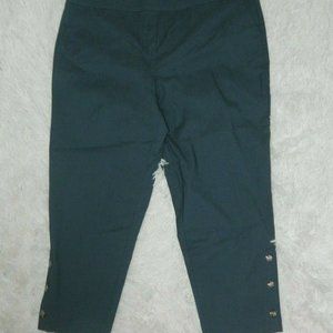 Briggs New York Pants Chambray Women's Plus Size 22W Comfort Waist Buttons Leg